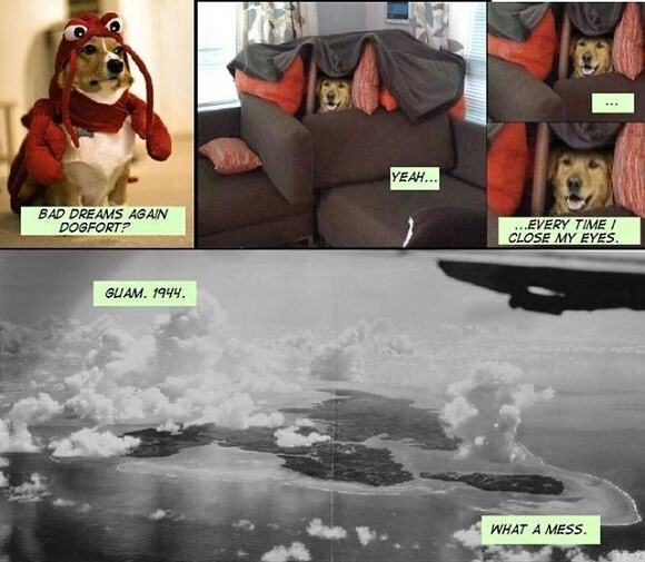 Obrázek Dog Fort1