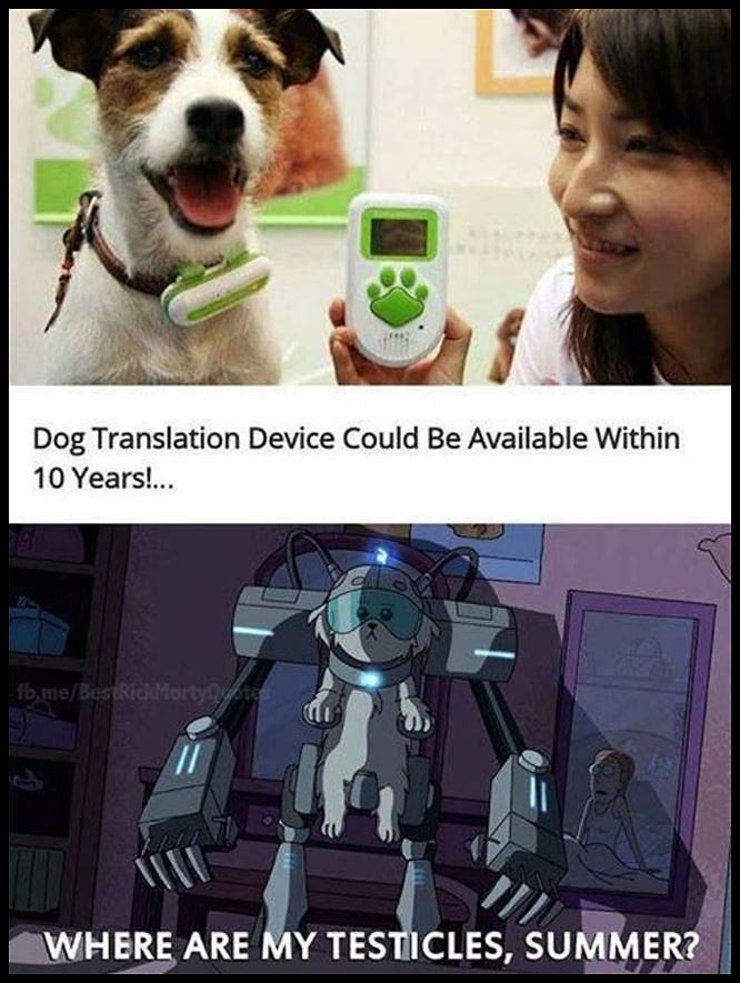 Obrázek Dog Translation Device