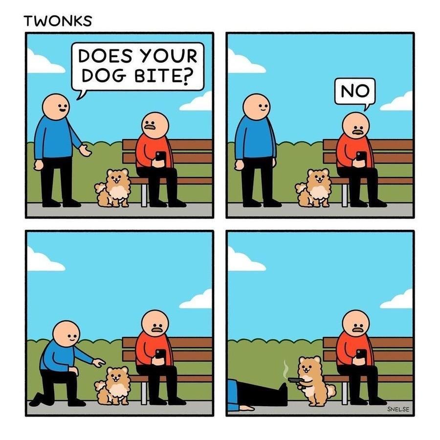 Obrázek Dog bite