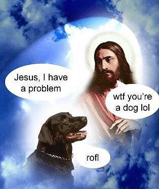 Obrázek Dog talking to Jesus