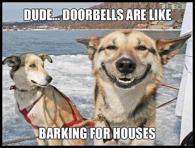 Obrázek Dogs That Stole Your Weed