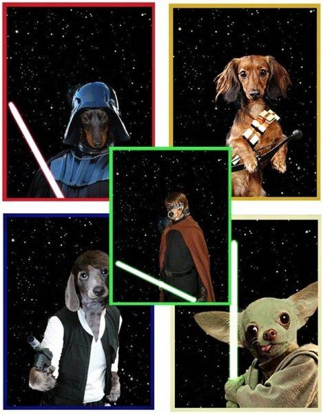 Obrázek Dogstarwars