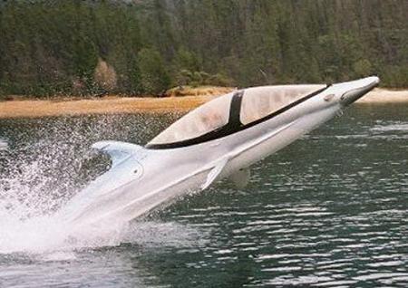 Obrázek Dolphin Submarine 6