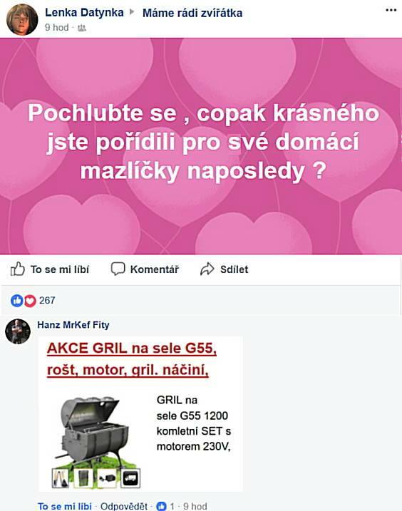 Obrázek Domaci mazlicci