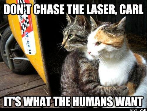 Obrázek Don t Chase The Laser