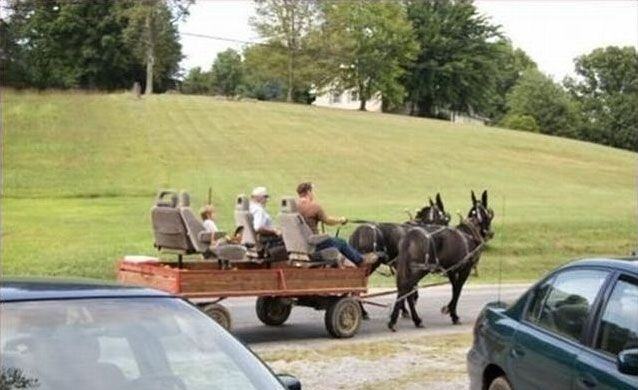 Obrázek Donkey car