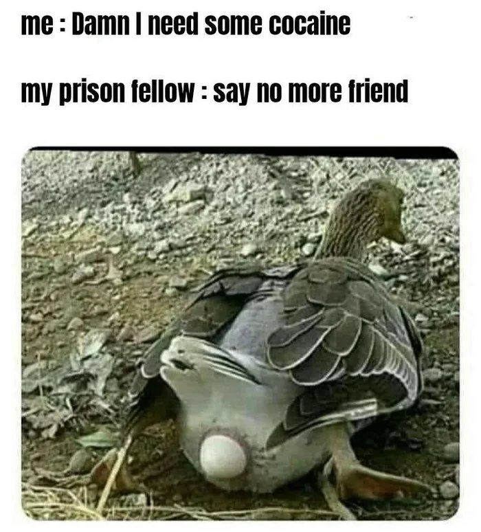 Obrázek Dont-do-drugs-btw