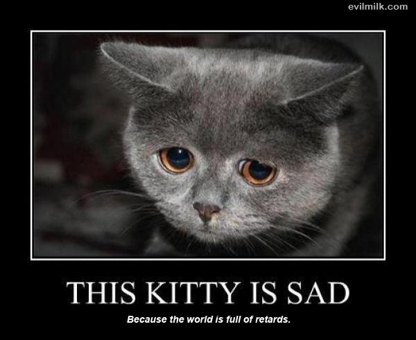 Obrázek Dr.Rockso This Kitty Is Sad