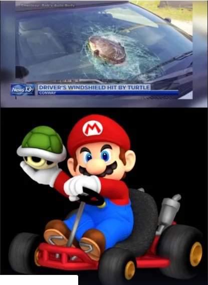 Obrázek Drivers-windshield-hit-by-turtle