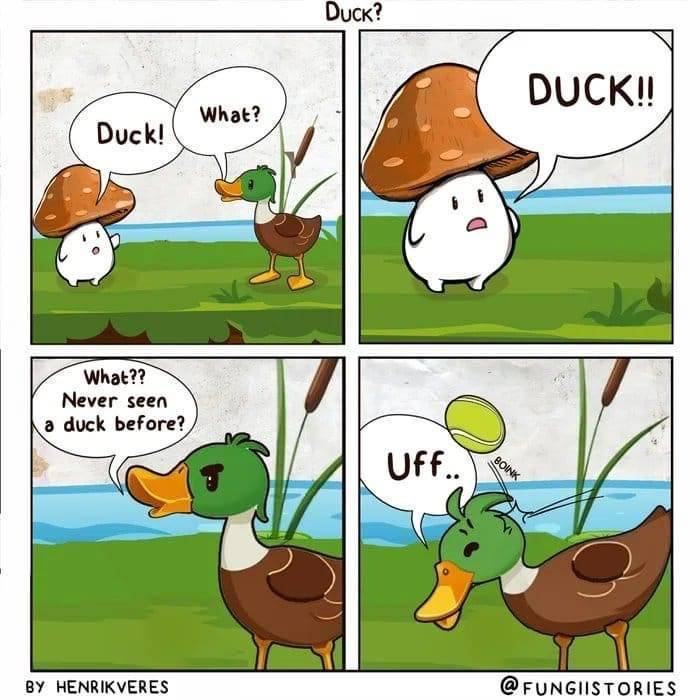 Obrázek DuckUndCover