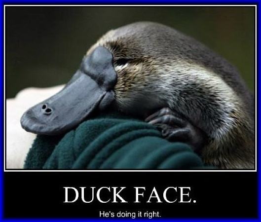 Obrázek Duck face 05-03-2012
