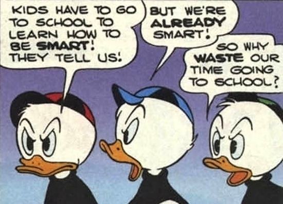 Obrázek Duck true