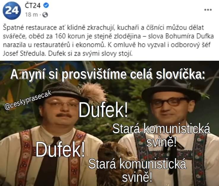 Obrázek Dufek