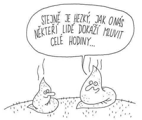 Obrázek Dva slimaci na oholene hlave