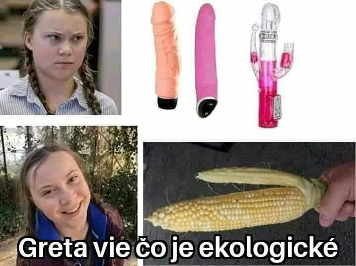 Obrázek EKOkot