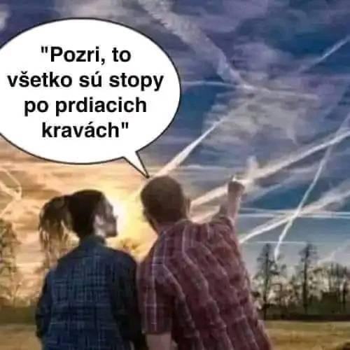 Obrázek EU stopy po kravach