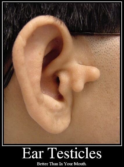 Obrázek Ear testicles