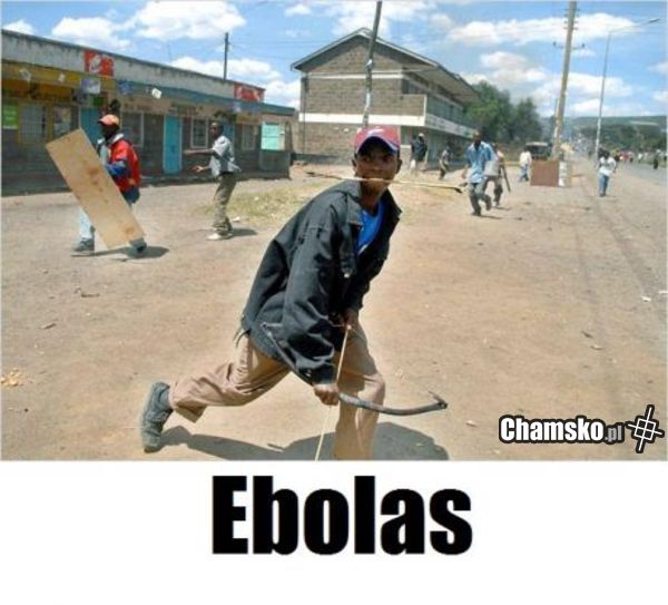 Obrázek Ebolas