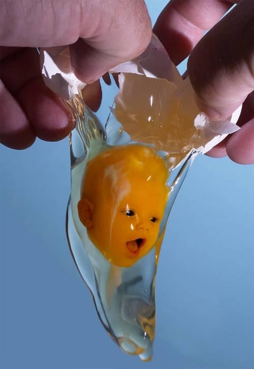 Obrázek EggArt