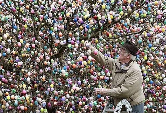 Obrázek Eggs tree