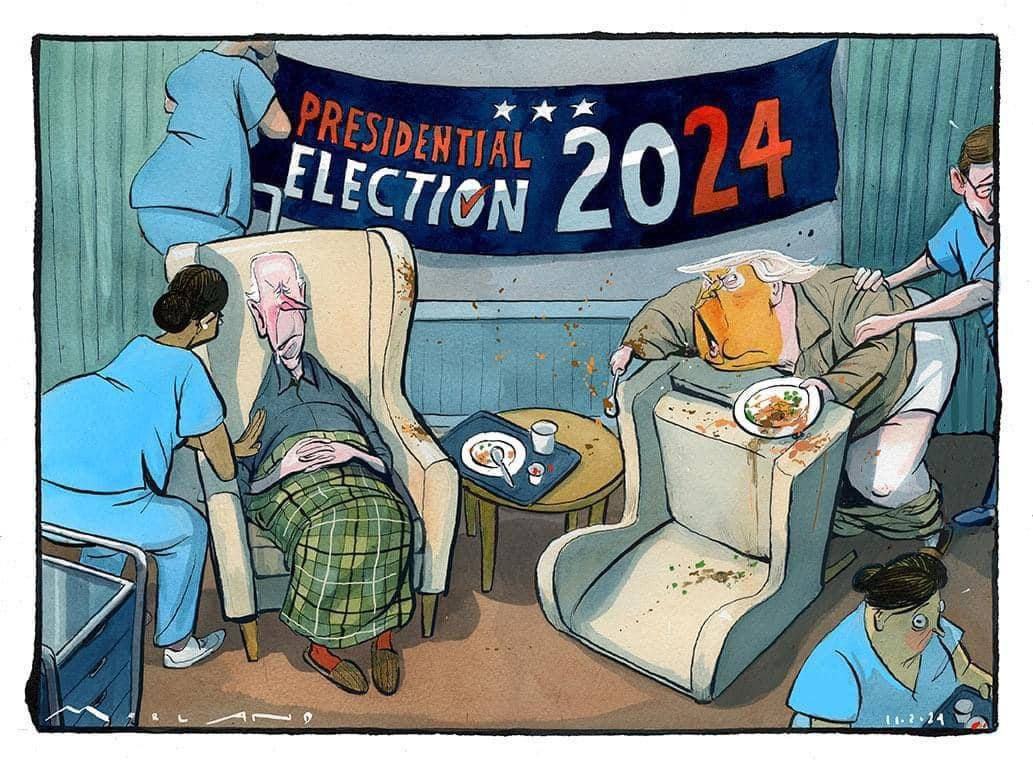 Obrázek Election 2024