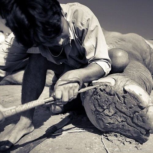 Obrázek Elephants also need a Manicure2