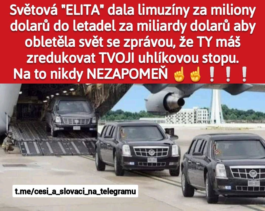 Obrázek Elita uhlik neresi 2024