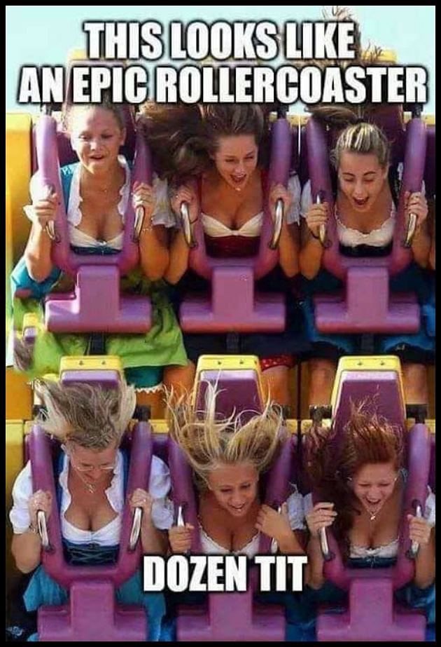 Obrázek Epic Roller Coaster