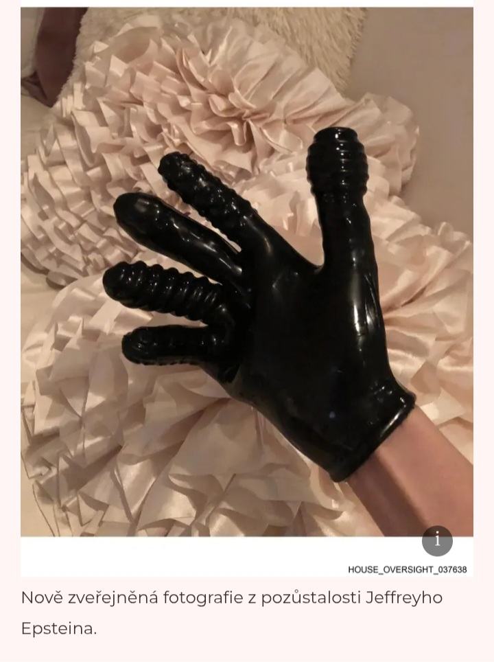 Obrázek Epstain&nbsp;Gloves