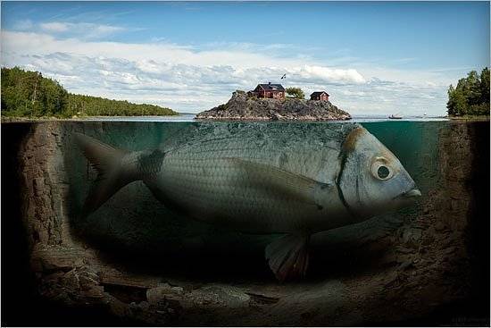 Obrázek Erik Johannson fish
