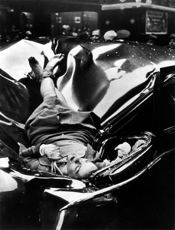 Obrázek Evelyn McHale nejkrasnejsi sebevrazda