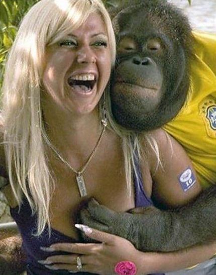 Obrázek Even Monkeys Love