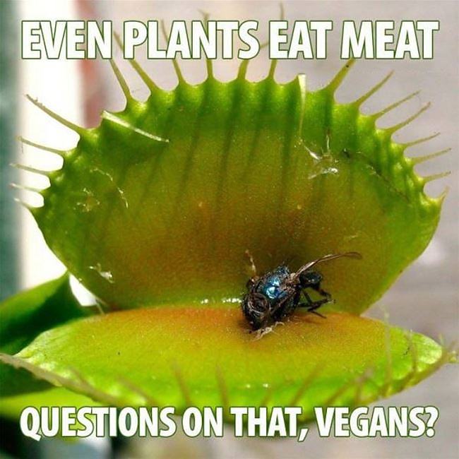 Obrázek Even Plants Eat Meattt
