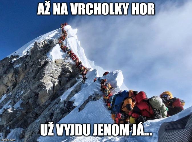 Obrázek Evergreen Very Martinove