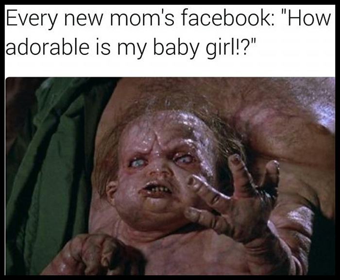 Obrázek Every New Moms Facebook