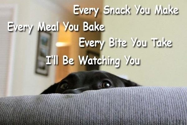 Obrázek Every snack - 15-05-2012
