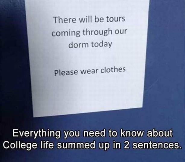 Obrázek Everything You Need To Know