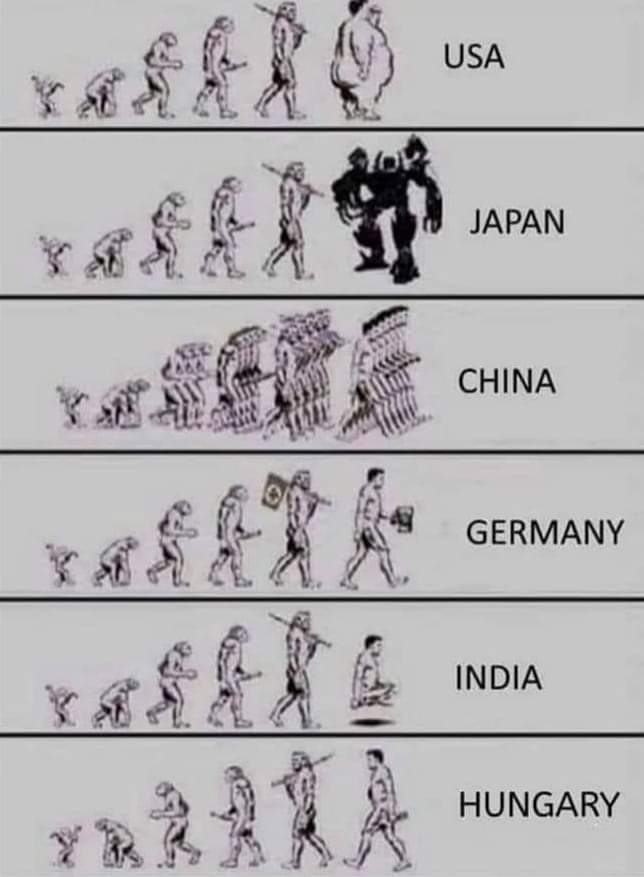 Obrázek Evolution-Devolution
