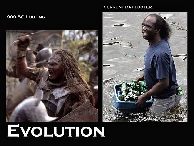 Obrázek Evolution - 23-05-2012