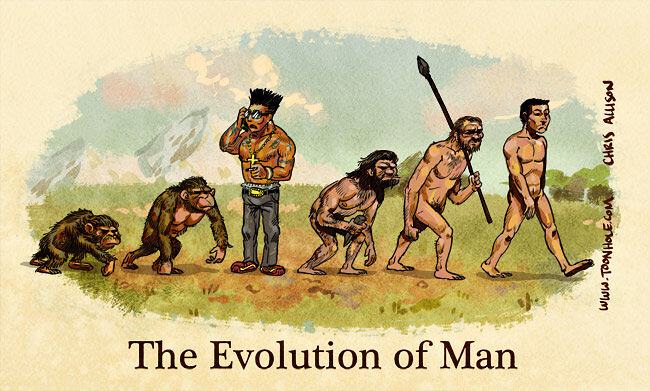 Obrázek Evolution 150911