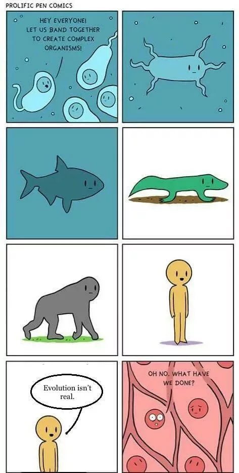 Obrázek Evolution irony