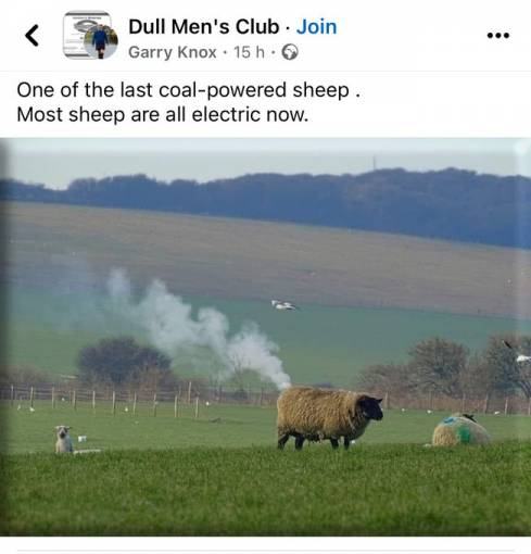 Obrázek Ewe emissions