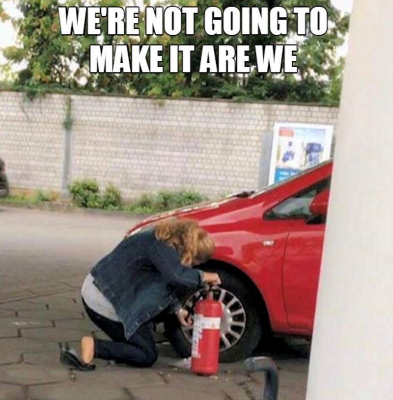 Obrázek Extinguishing the future