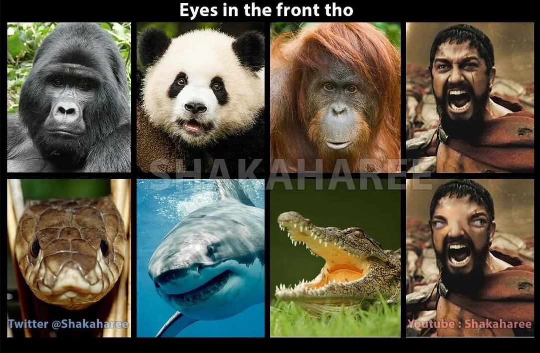 Obrázek Eyes tho