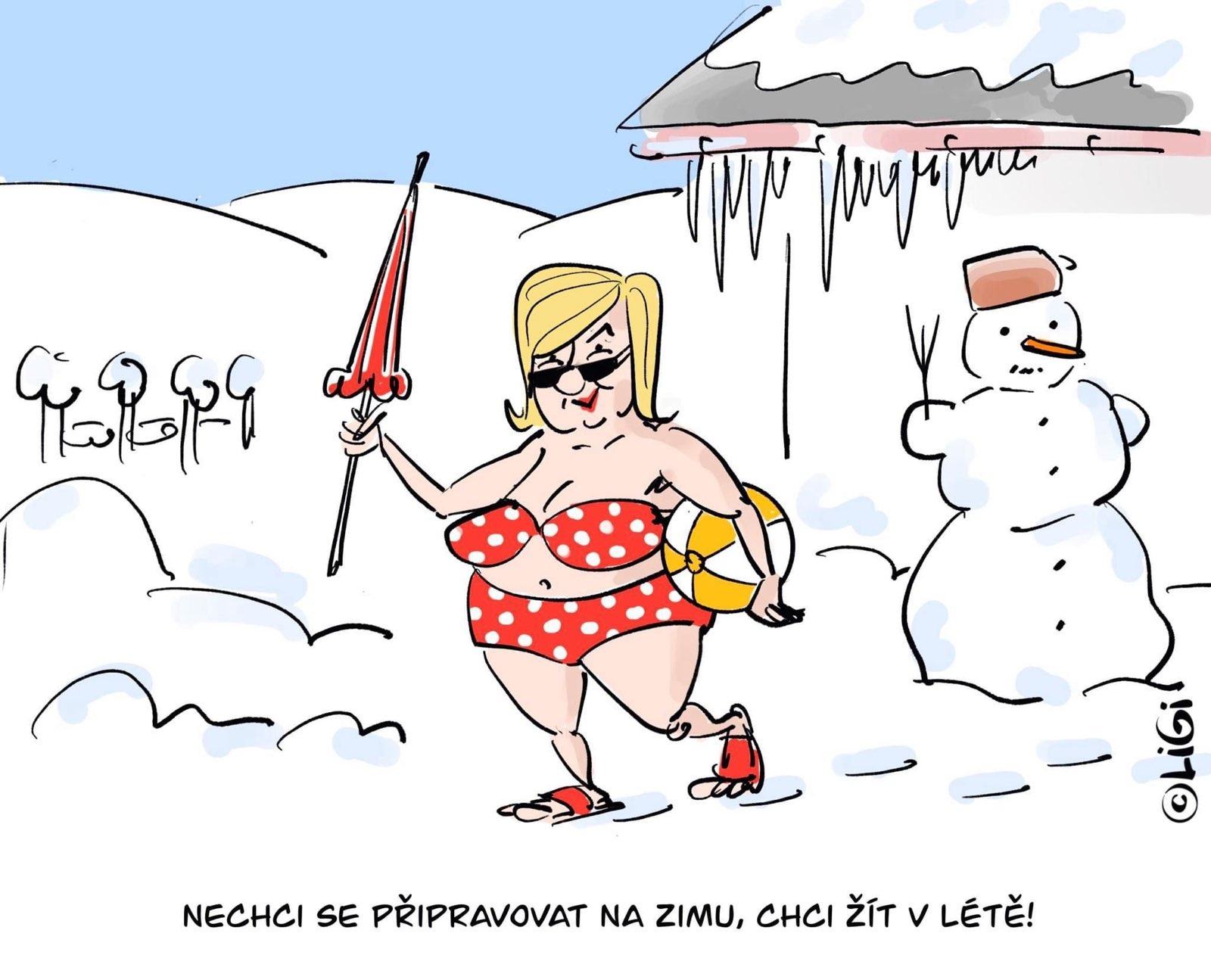 Obrázek FSBpobockaCR