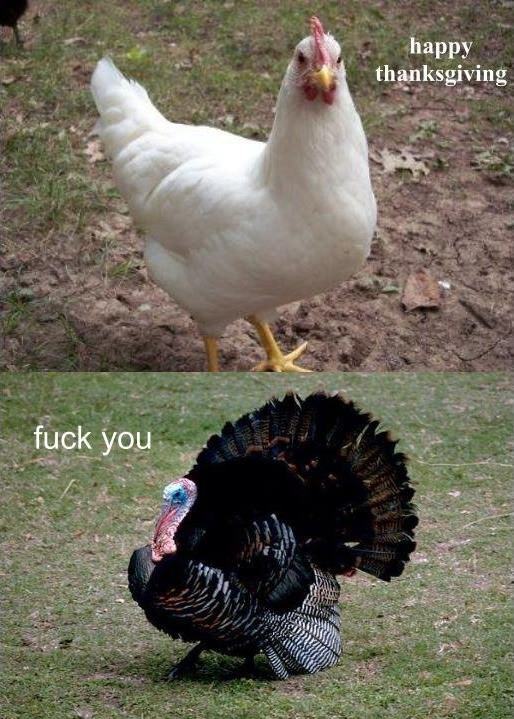 Obrázek FU chicken