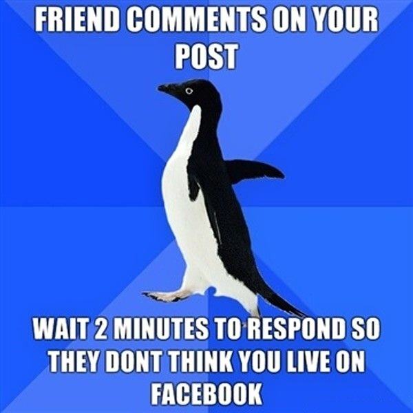 Obrázek Facebook Comments