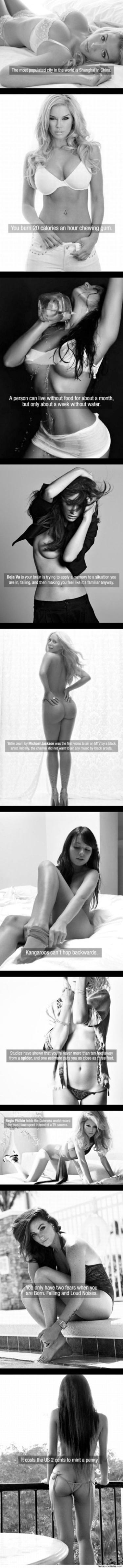 Obrázek Facts Fix On Hot Chicks 06-01-2012