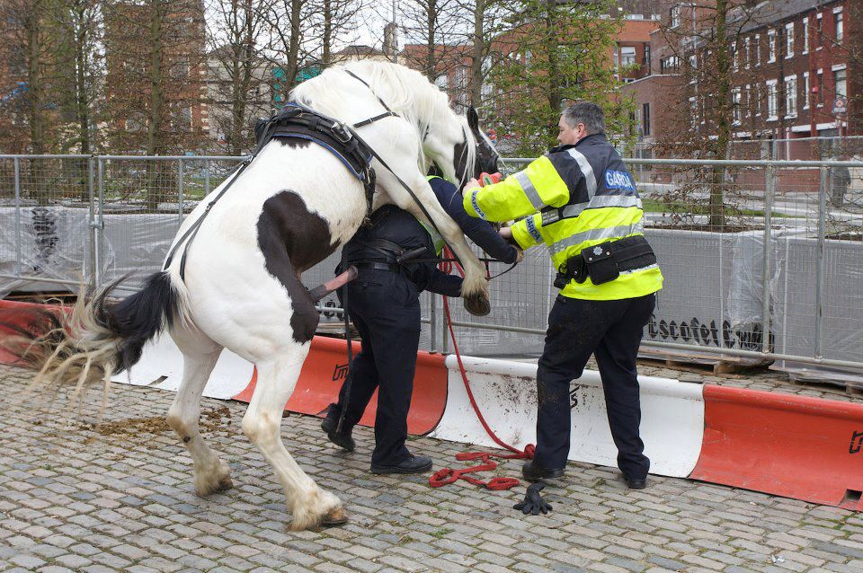 Obrázek Fak da police