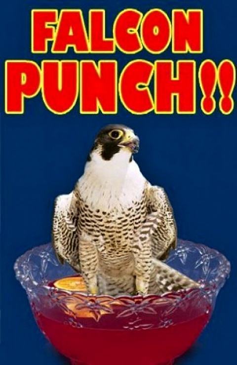 Obrázek Falcon punch 06-02-2012